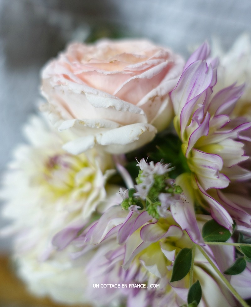 Blog campagne chic