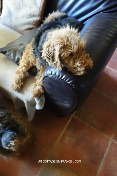 french vintage rustic interior brocante