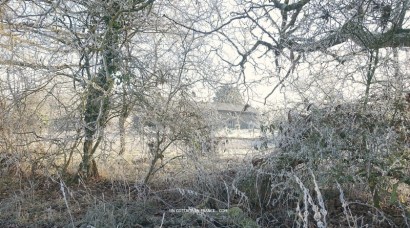 Janvier en Haut Limousin (January in High Limousin)