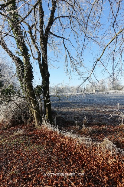 haut Limousin en janvier