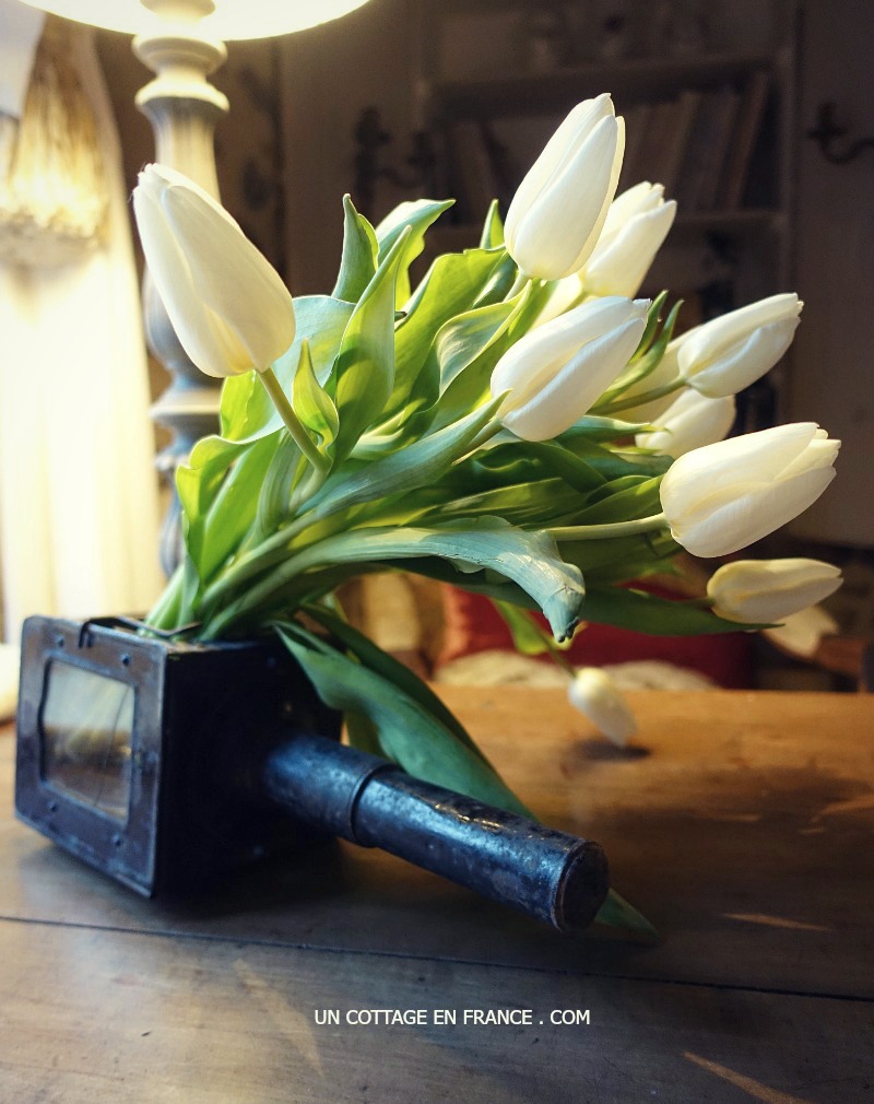 décoration rustique chic