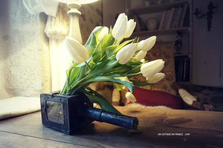 Fleurs blanches : tulipes de janvier | White January&nbsp;Tulips