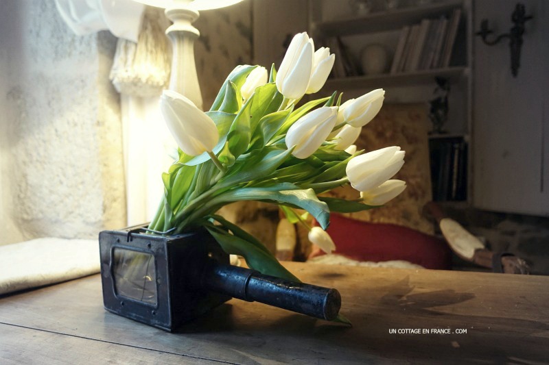 décoration rustique chic