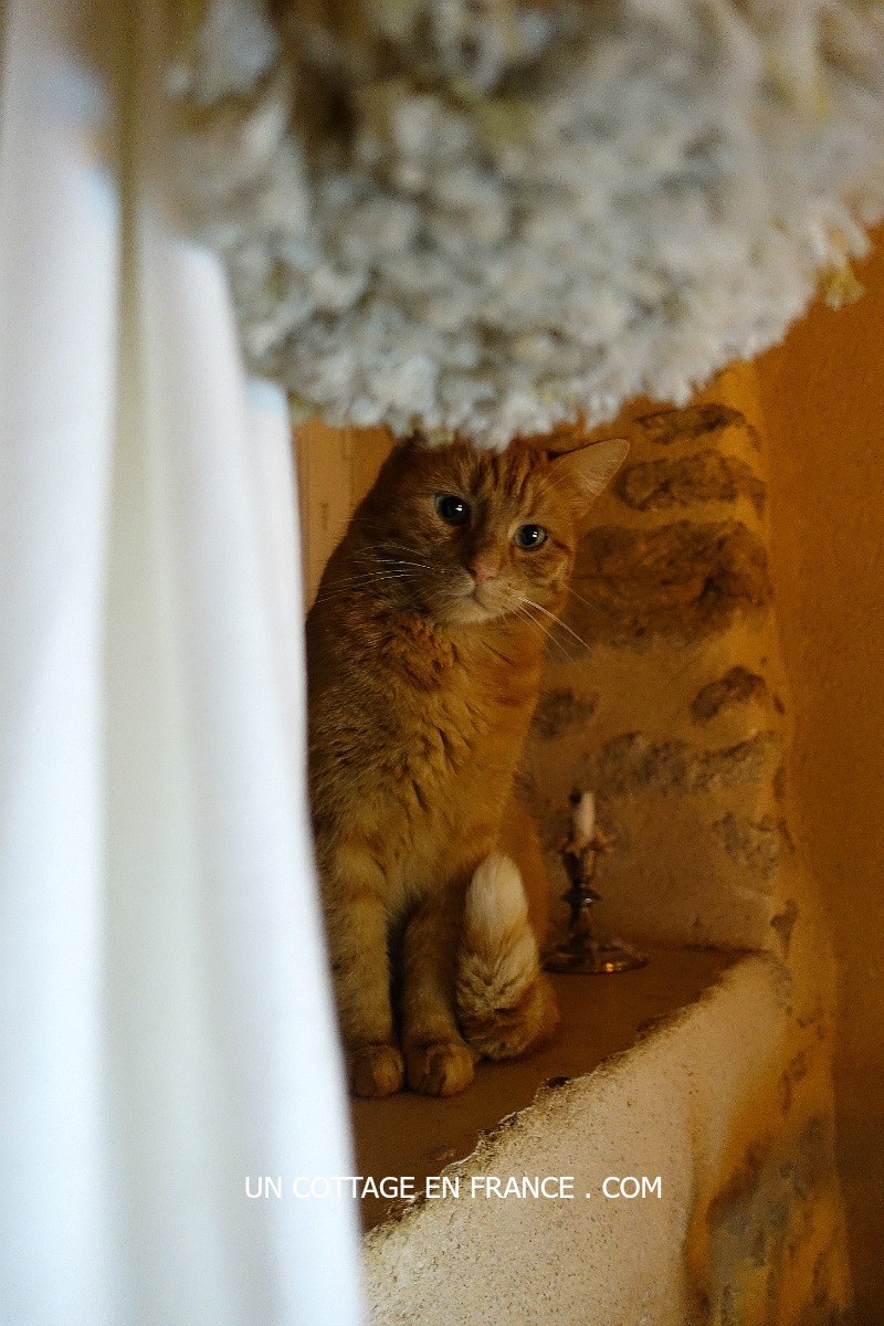 blog vivre à la campagne en France