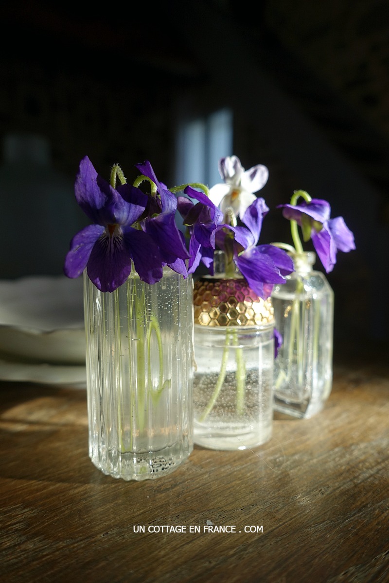 Violettes dans des bouteilles de parfum (Violets in perfume bottles as table arrangement)