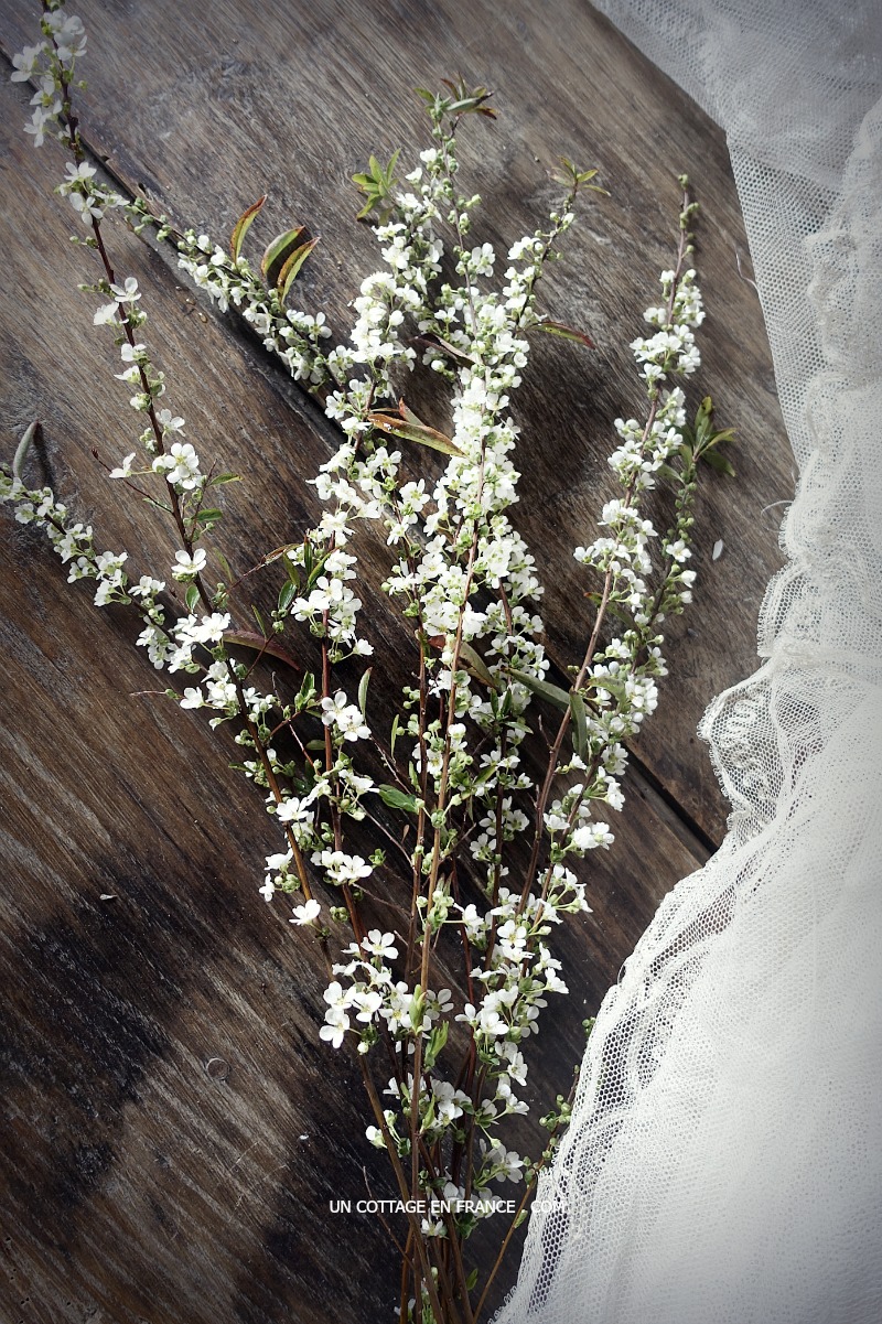 Le fantasme du thé à l'anglaise (An English teatime fantasy)