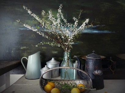 #whitecottagecharm #uncottageenfrance #campagnechic #frenchinterior #frenchfarmhousestyle #frenchcountry #frenchliving #fixerupperstyle #frenchcountrycottage #allthingsfrench #frenchcottage #farmhousevignette #cottagevignette #chippypaint #frenchdecoration #fermette #countrychic #rustique #rusticdecor #decorustic #cottagedecor #maisondecampagne #campagnedecoration #countryhomemag #brocante