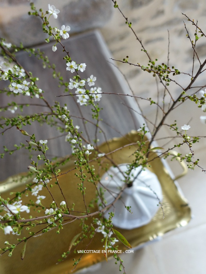 #whitecottagecharm #uncottageenfrance #campagnechic #frenchinterior #frenchfarmhousestyle #frenchcountry #frenchliving #fixerupperstyle #frenchcountrycottage #allthingsfrench #frenchcottage #farmhousevignette #cottagevignette #chippypaint #frenchdecoration #fermette #countrychic #rustique #rusticdecor #decorustic #cottagedecor #maisondecampagne #campagnedecoration #countryhomemag #brocante