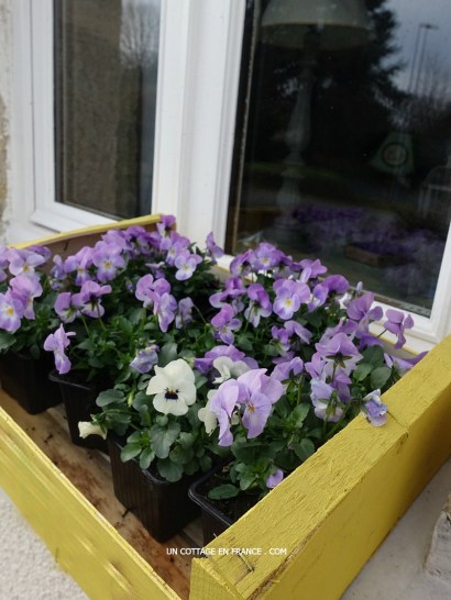 Blog maison et jardin, cottage de france