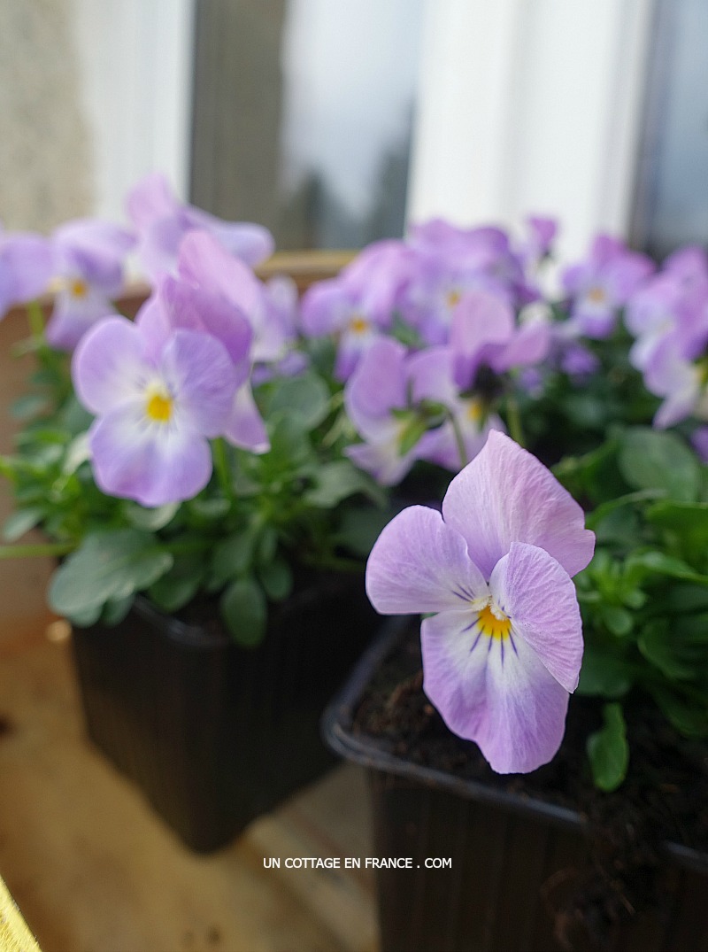 Blog maison et jardin, cottage de france