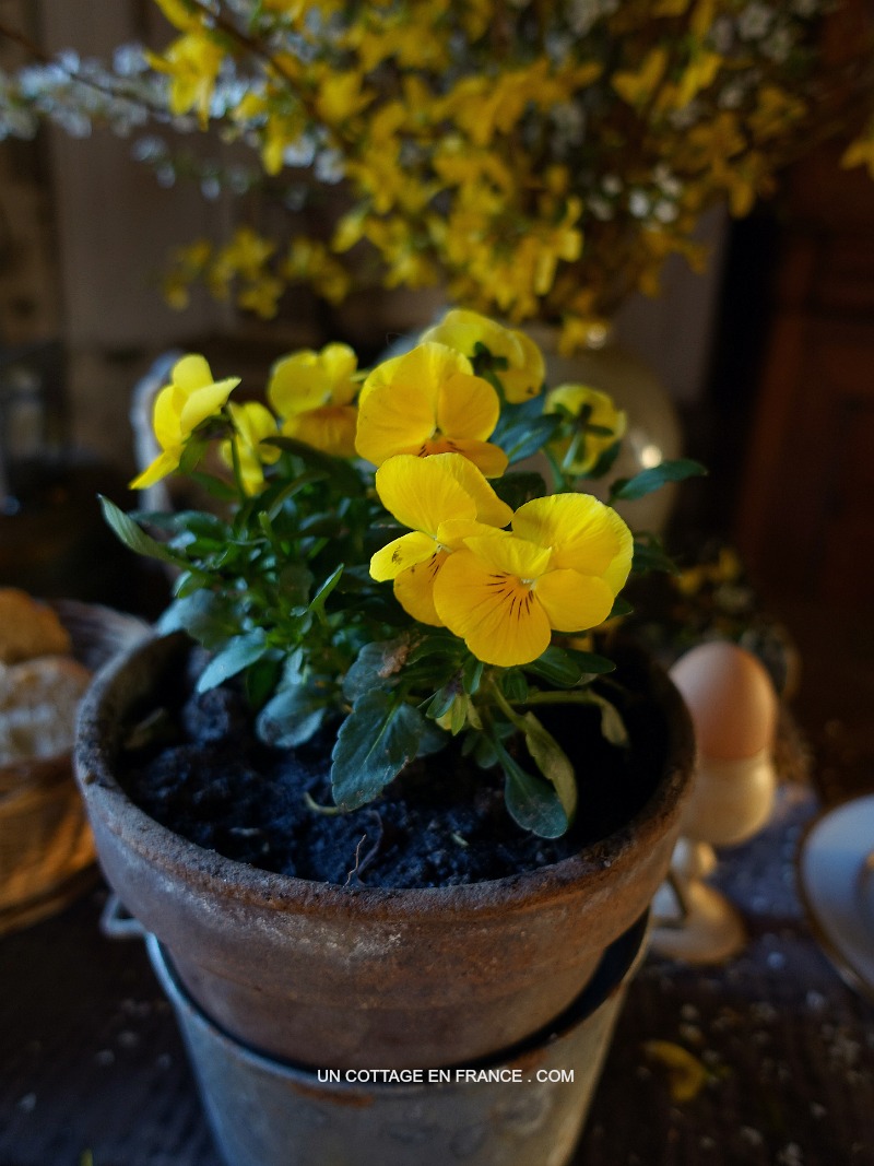 Blog campagne chic, shabby chic france