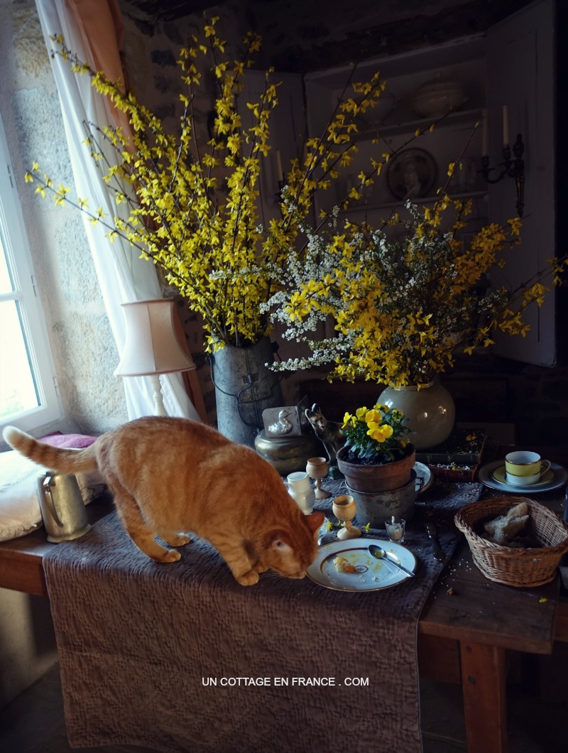 Blog campagne chic, shabby chic france