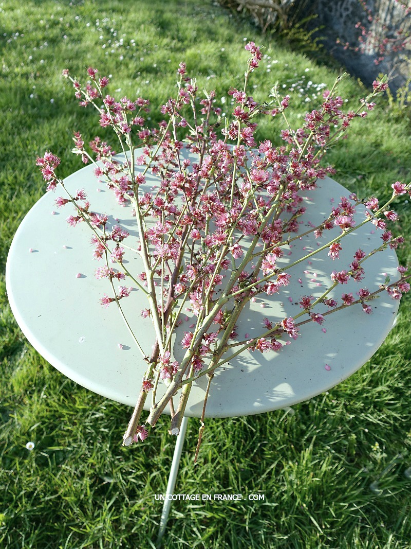 blog vivre en nouvelle aquitaine