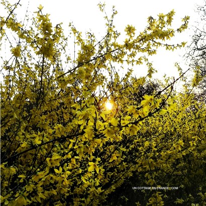 #whitecottagecharm #uncottageenfrance #campagnechic #frenchinterior #frenchfarmhousestyle #frenchcountry #frenchliving #fixerupperstyle #frenchcountrycottage #allthingsfrench #frenchcottage #farmhousevignette #cottagevignette #chippypaint #frenchdecoration #fermette #countrychic #rustique #rusticdecor #decorustic #cottagedecor #maisondecampagne #campagnedecoration #countryhomemag #brocante