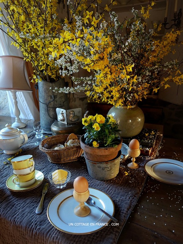 Le charme des grands forsythias | Long Charming&nbsp;Forsythias