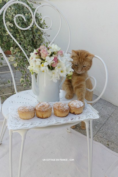 décoration shabby chic