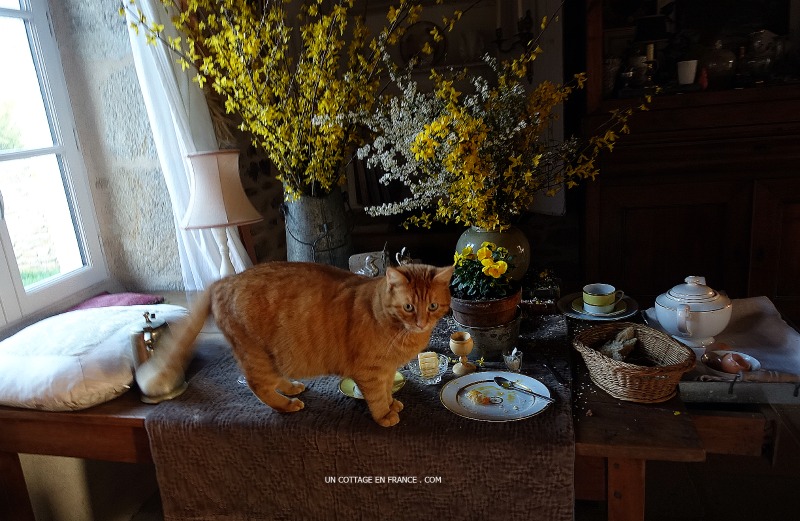 Blog campagne chic, shabby chic france