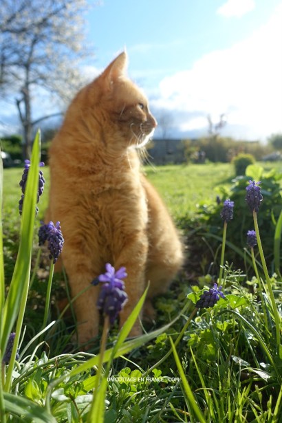 blog vivre à la campagne