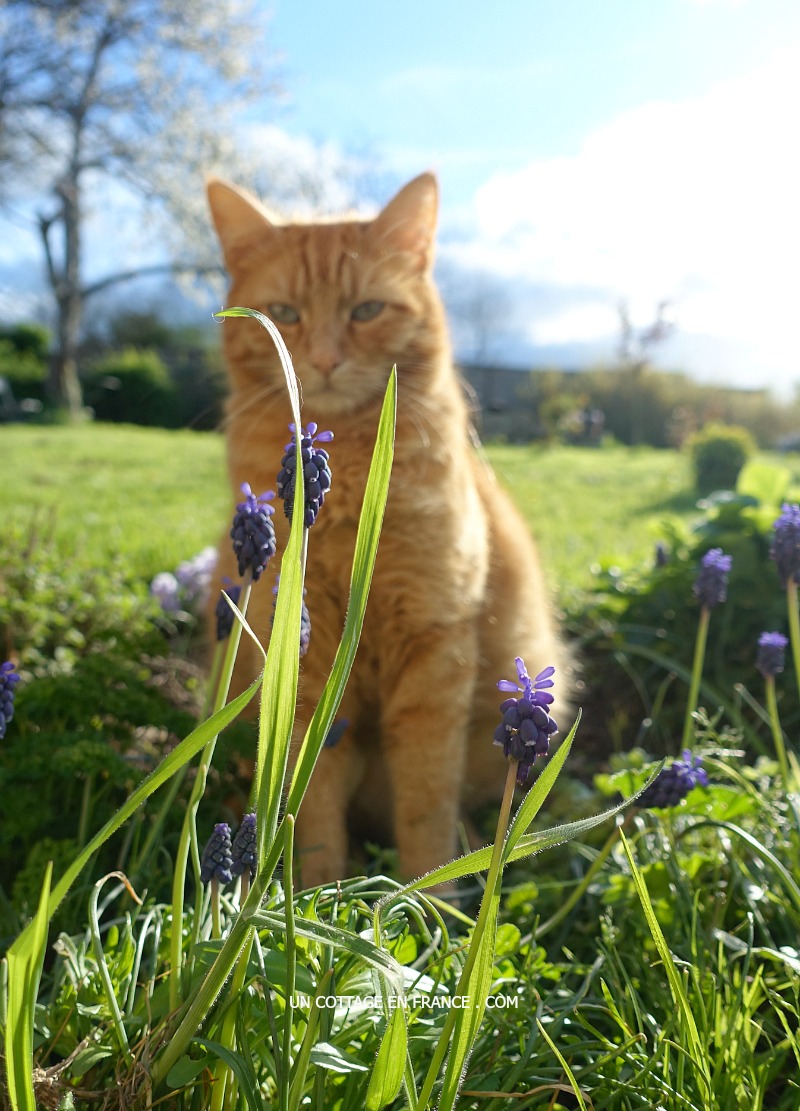 limousin, blog décoration romantique, campagne chic, french vintage country blog