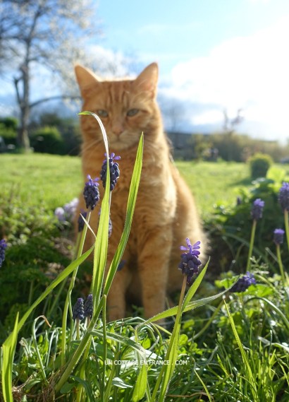 limousin, blog décoration romantique, campagne chic, french vintage country blog