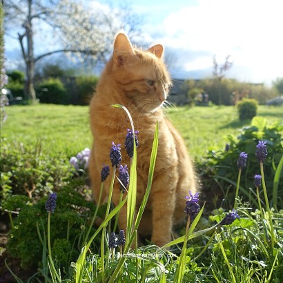 limousin, blog décoration romantique, campagne chic, french vintage country blog