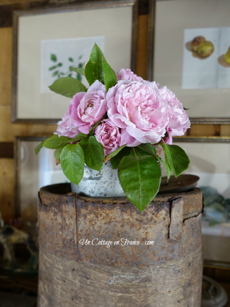 blog shabby chic france