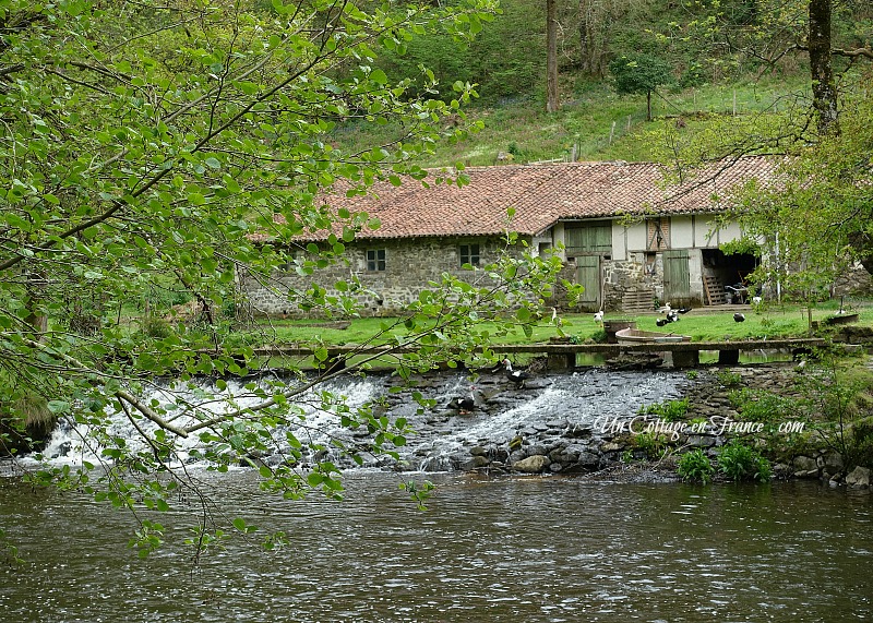 #whitecottagecharm #uncottageenfrance #campagnechic #frenchinterior #frenchfarmhousestyle #frenchcountry #frenchliving #fixerupperstyle #frenchcountrycottage #allthingsfrench #frenchcottage #farmhousevignette #cottagevignette #chippypaint #frenchdecoration #fermette #countrychic #rustique #rusticdecor #decorustic #cottagedecor #maisondecampagne #campagnedecoration #countryhomemag #brocante