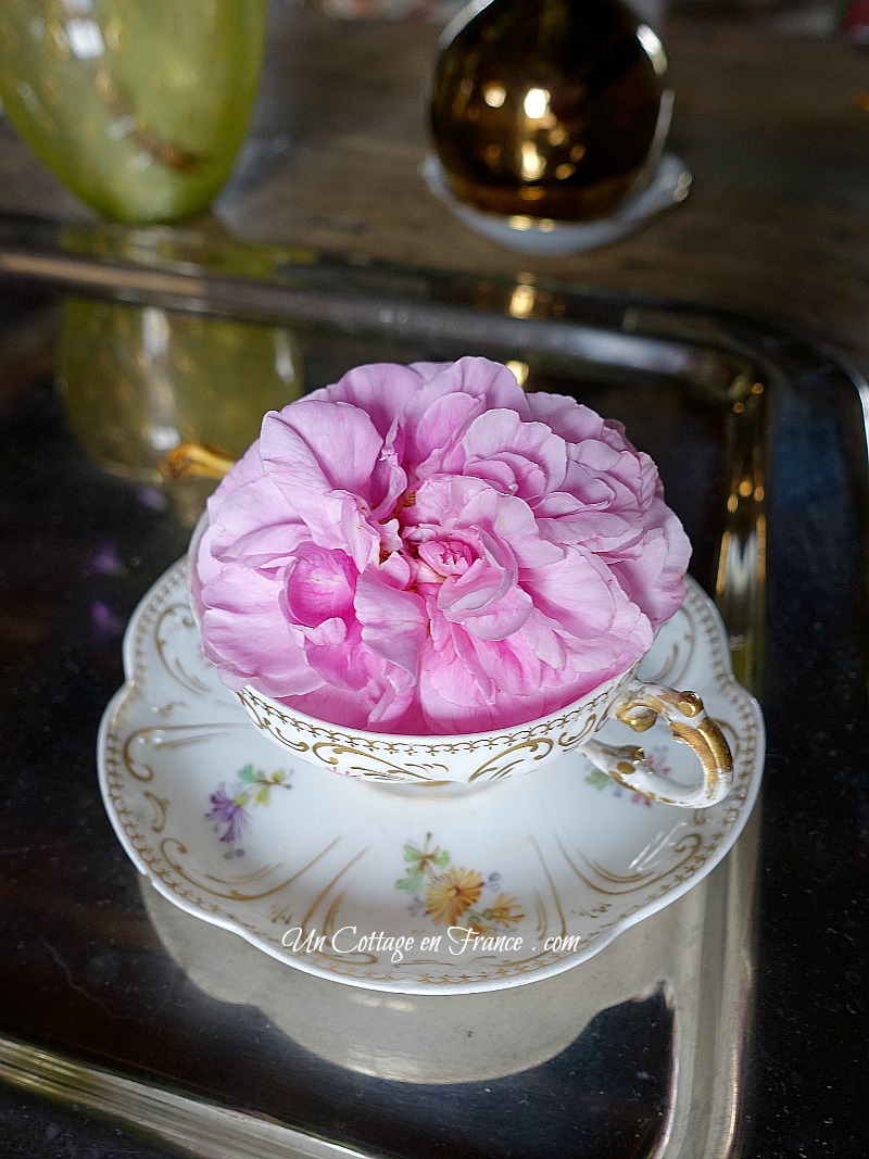 #whitecottagecharm #uncottageenfrance #campagnechic #frenchinterior #frenchfarmhousestyle #frenchcountry #frenchliving #fixerupperstyle #frenchcountrycottage #allthingsfrench #frenchcottage #farmhousevignette #cottagevignette #chippypaint #frenchdecoration #fermette #countrychic #rustique #rusticdecor #decorustic #cottagedecor #maisondecampagne #campagnedecoration #countryhomemag #brocante