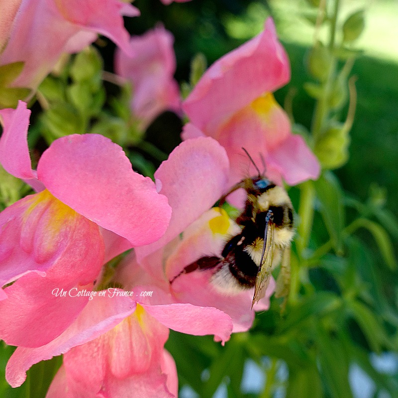 vivre à la campagne en Limousin