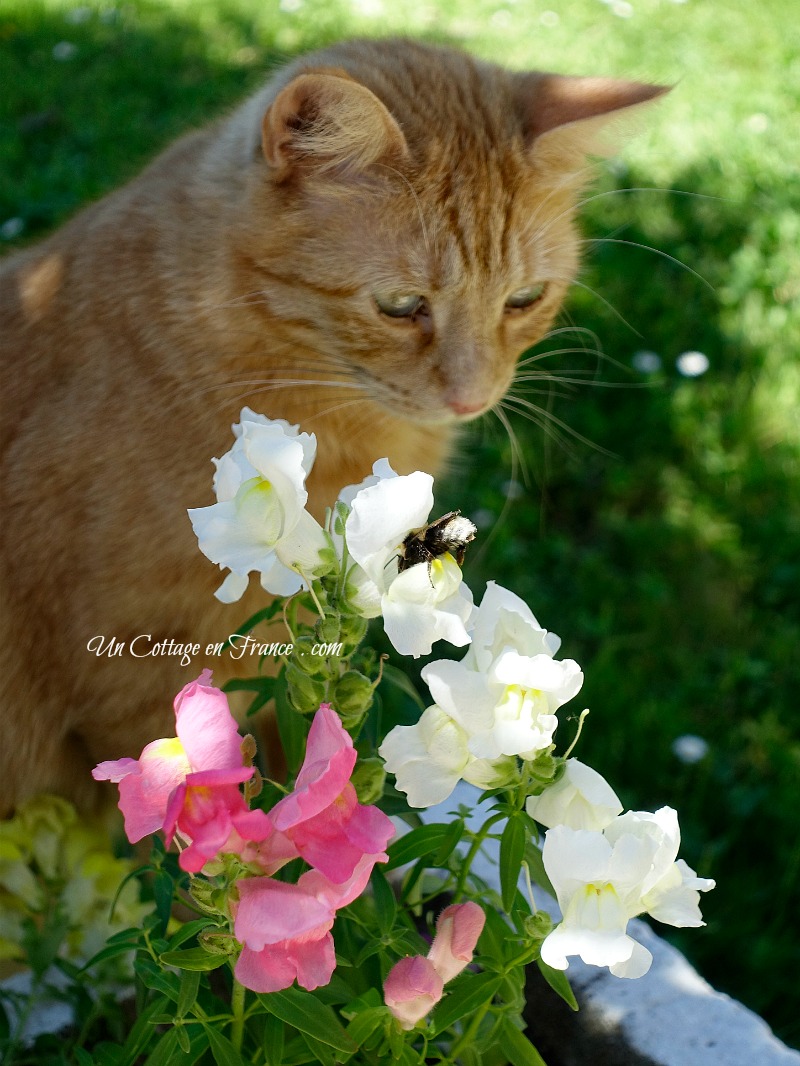 vivre à la campagne en Limousin