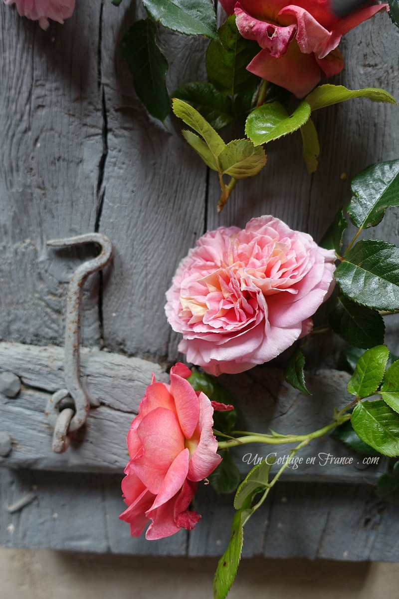 Blog cottage romantique