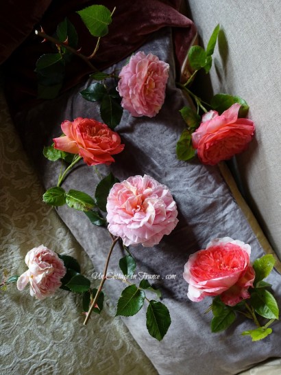 Le romantisme d'Abraham Darby (Abraham Darby's romantiicism)