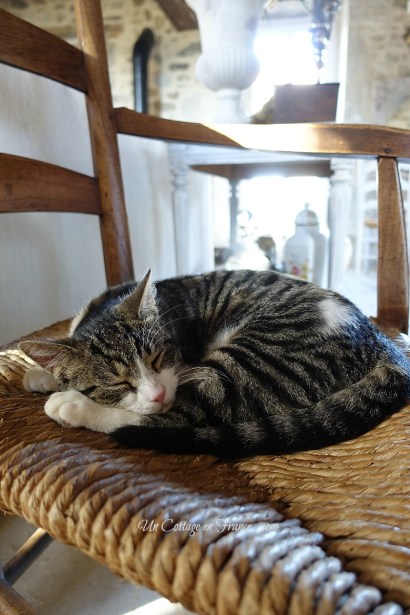 french vintage cottage style