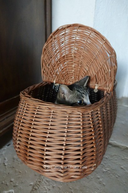 #whitecottagecharm #uncottageenfrance #campagnechic #frenchinterior #frenchfarmhousestyle #frenchcountry #frenchliving #fixerupperstyle #frenchcountrycottage #allthingsfrench #frenchcottage #farmhousevignette #cottagevignette #chippypaint #frenchdecoration #fermette #countrychic #rustique #rusticdecor #decorustic #cottagedecor #maisondecampagne #campagnedecoration #countryhomemag #brocante