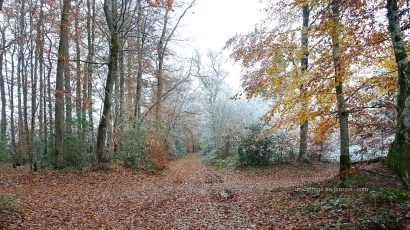 #whitecottagecharm #uncottageenfrance #campagnechic #frenchinterior #frenchfarmhousestyle #frenchcountry #frenchliving #fixerupperstyle #frenchcountrycottage #allthingsfrench #frenchcottage #farmhousevignette #cottagevignette #chippypaint #frenchdecoration #fermette #countrychic #rustique #rusticdecor #decorustic #cottagedecor #maisondecampagne #campagnedecoration #countryhomemag #brocante