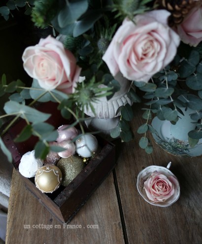 Roses Sweet Avalanche (Sweet Avalanche roses)