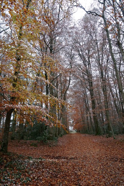 chemin Limousin