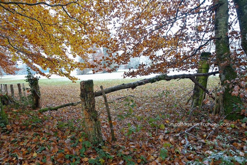 French cottage christmas