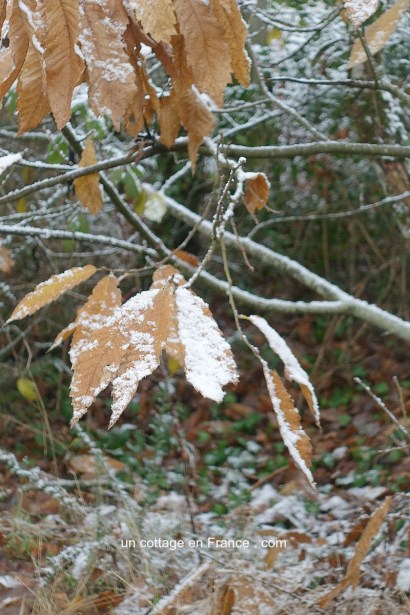#whitecottagecharm #uncottageenfrance #campagnechic #frenchinterior #frenchfarmhousestyle #frenchcountry #frenchliving #fixerupperstyle #frenchcountrycottage #allthingsfrench #frenchcottage #farmhousevignette #cottagevignette #chippypaint #frenchdecoration #fermette #countrychic #rustique #rusticdecor #decorustic #cottagedecor #maisondecampagne #campagnedecoration #countryhomemag #brocante
