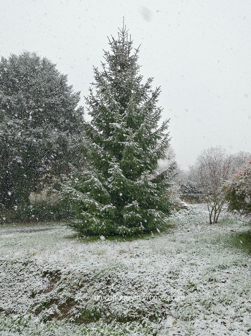 #whitecottagecharm #uncottageenfrance #campagnechic #frenchinterior #frenchfarmhousestyle #frenchcountry #frenchliving #fixerupperstyle #frenchcountrycottage #allthingsfrench #frenchcottage #farmhousevignette #cottagevignette #chippypaint #frenchdecoration #fermette #countrychic #rustique #rusticdecor #decorustic #cottagedecor #maisondecampagne #campagnedecoration #countryhomemag #brocante