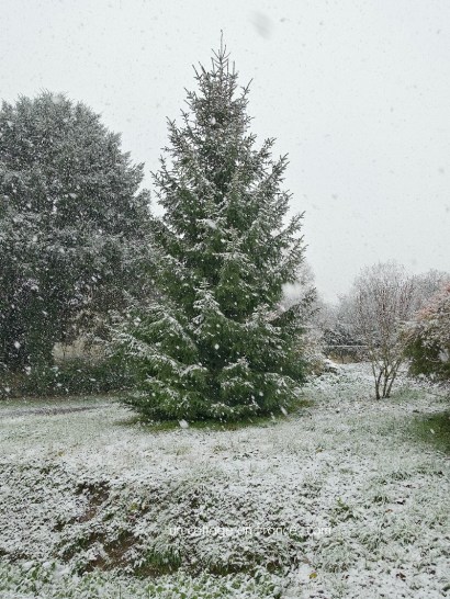 #whitecottagecharm #uncottageenfrance #campagnechic #frenchinterior #frenchfarmhousestyle #frenchcountry #frenchliving #fixerupperstyle #frenchcountrycottage #allthingsfrench #frenchcottage #farmhousevignette #cottagevignette #chippypaint #frenchdecoration #fermette #countrychic #rustique #rusticdecor #decorustic #cottagedecor #maisondecampagne #campagnedecoration #countryhomemag #brocante