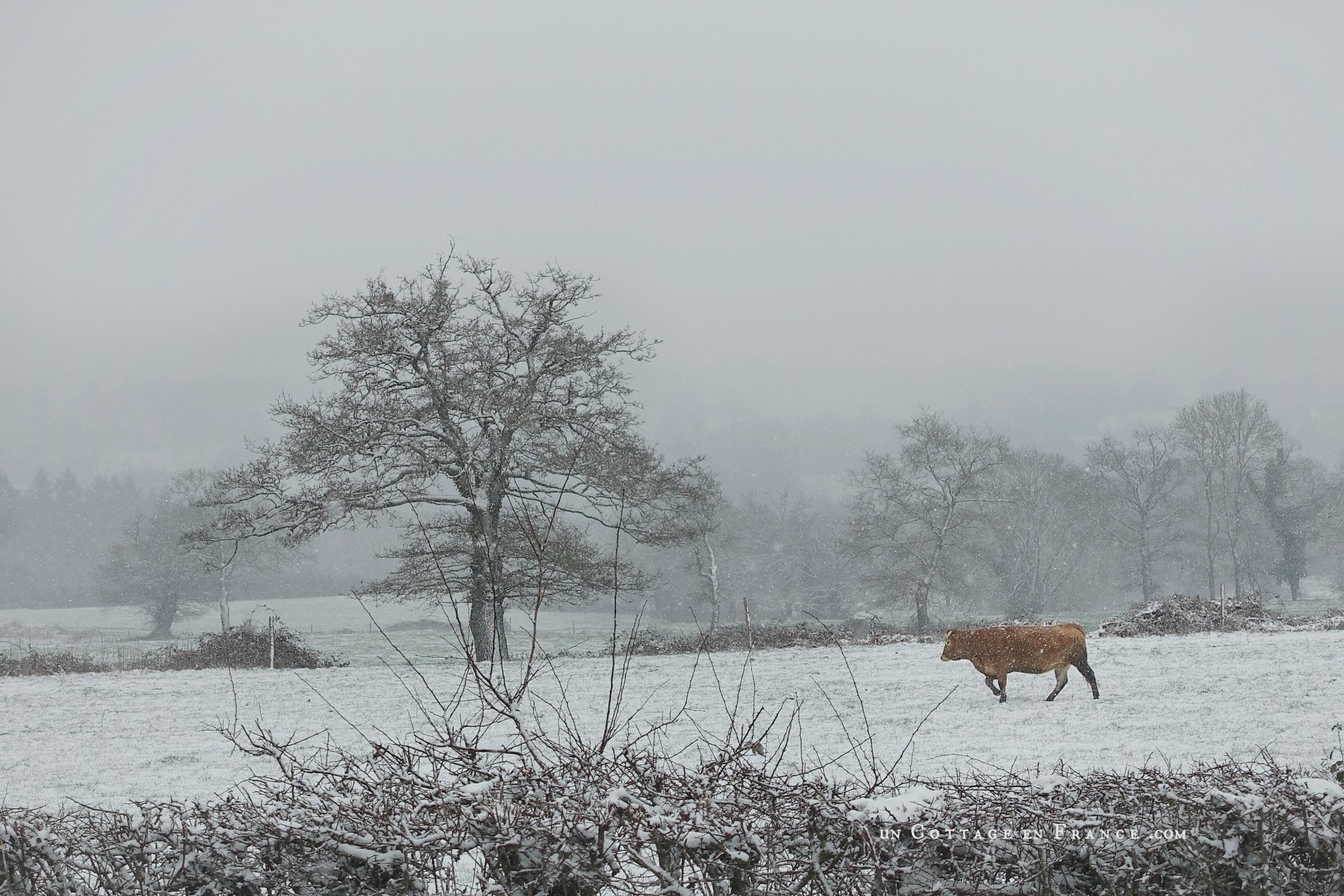 #whitecottagecharm #uncottageenfrance #campagnechic #frenchinterior #frenchfarmhousestyle #frenchcountry #frenchliving #fixerupperstyle #frenchcountrycottage #allthingsfrench #frenchcottage #farmhousevignette #cottagevignette #chippypaint #frenchdecoration #fermette #countrychic #rustique #rusticdecor #decorustic #cottagedecor #maisondecampagne #campagnedecoration #countryhomemag #brocante