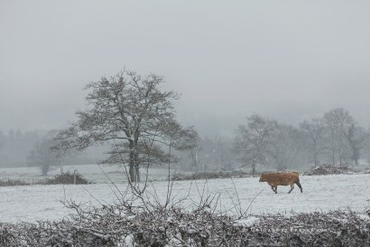#whitecottagecharm #uncottageenfrance #campagnechic #frenchinterior #frenchfarmhousestyle #frenchcountry #frenchliving #fixerupperstyle #frenchcountrycottage #allthingsfrench #frenchcottage #farmhousevignette #cottagevignette #chippypaint #frenchdecoration #fermette #countrychic #rustique #rusticdecor #decorustic #cottagedecor #maisondecampagne #campagnedecoration #countryhomemag #brocante