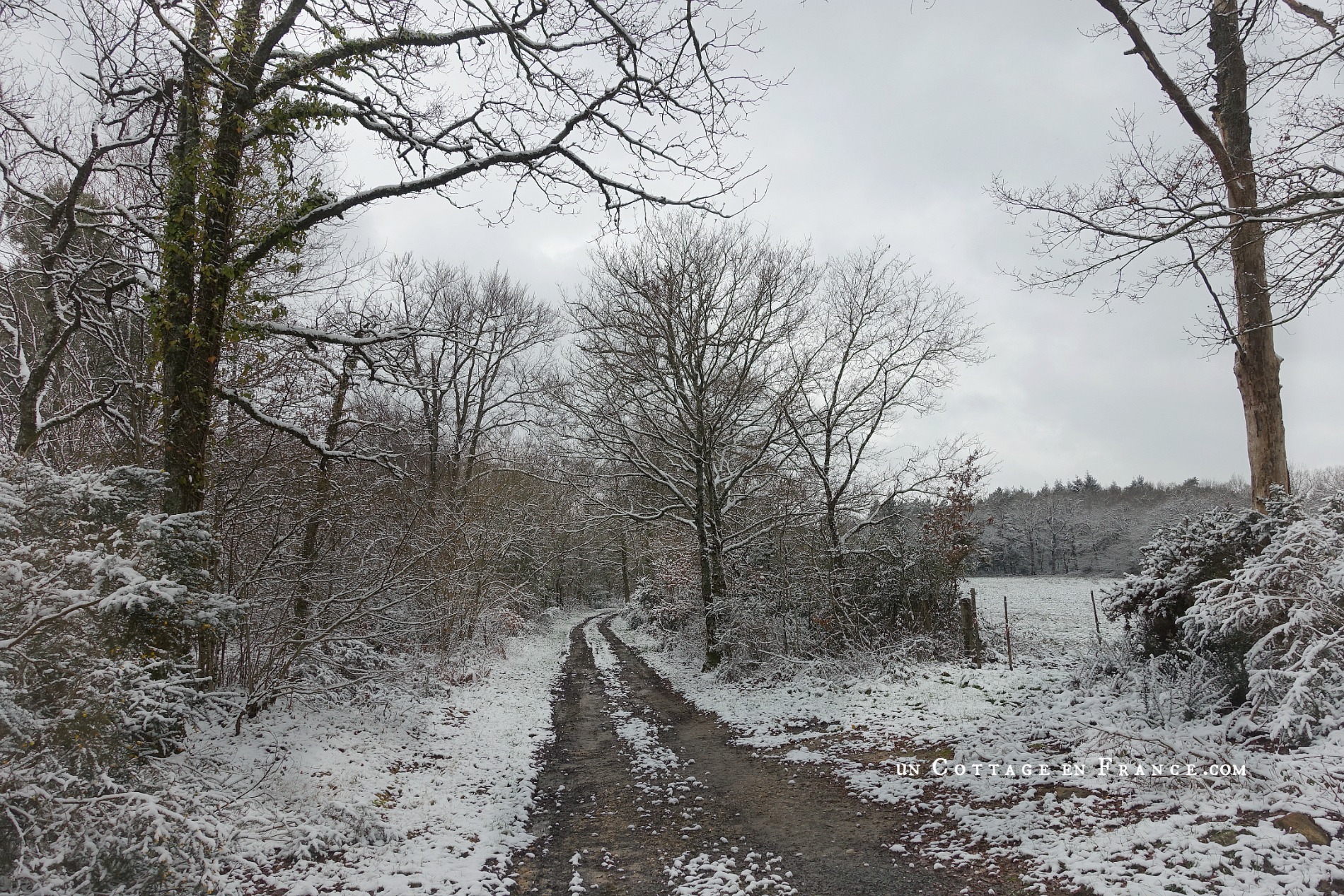 Blog campagne décoration Limousin chateau de fromental