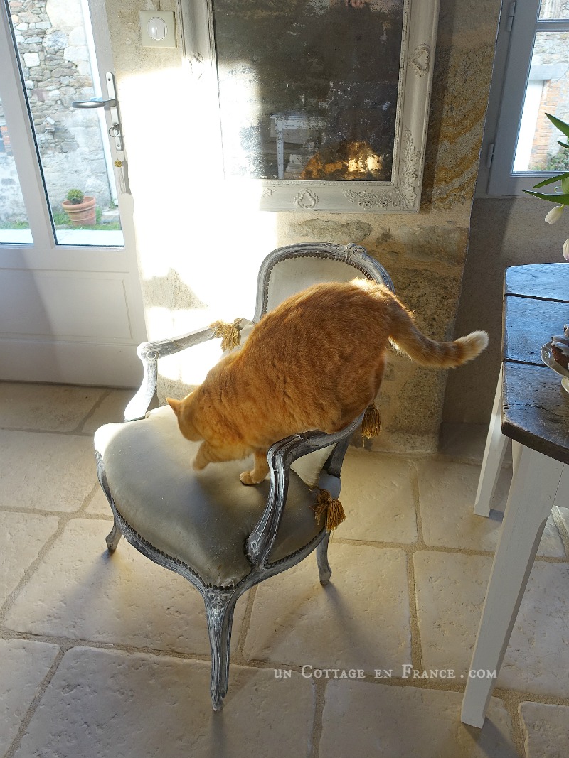 décoration shabby chic