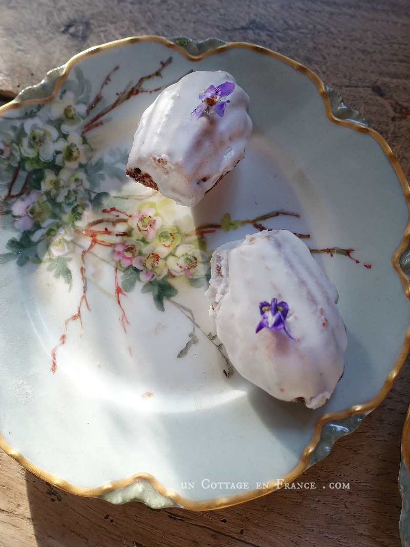 Recette de Madeleines Royales avec Glaçage - Dégustez la Douceur de Pâques