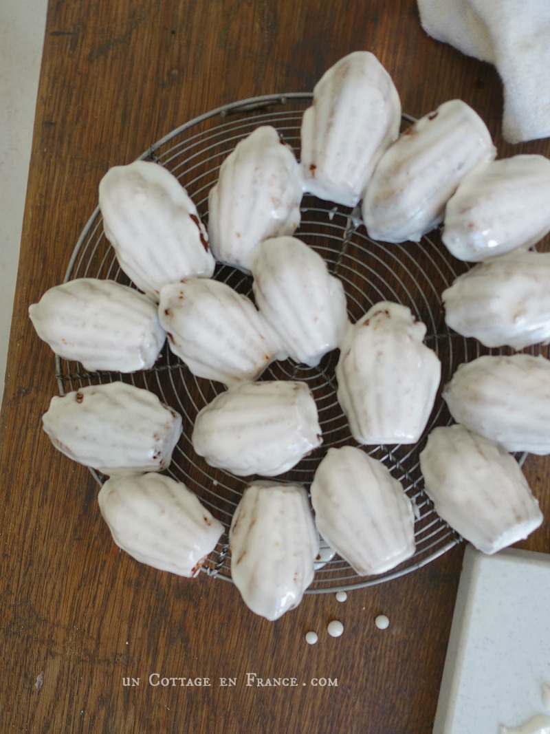 recette de madeleines
