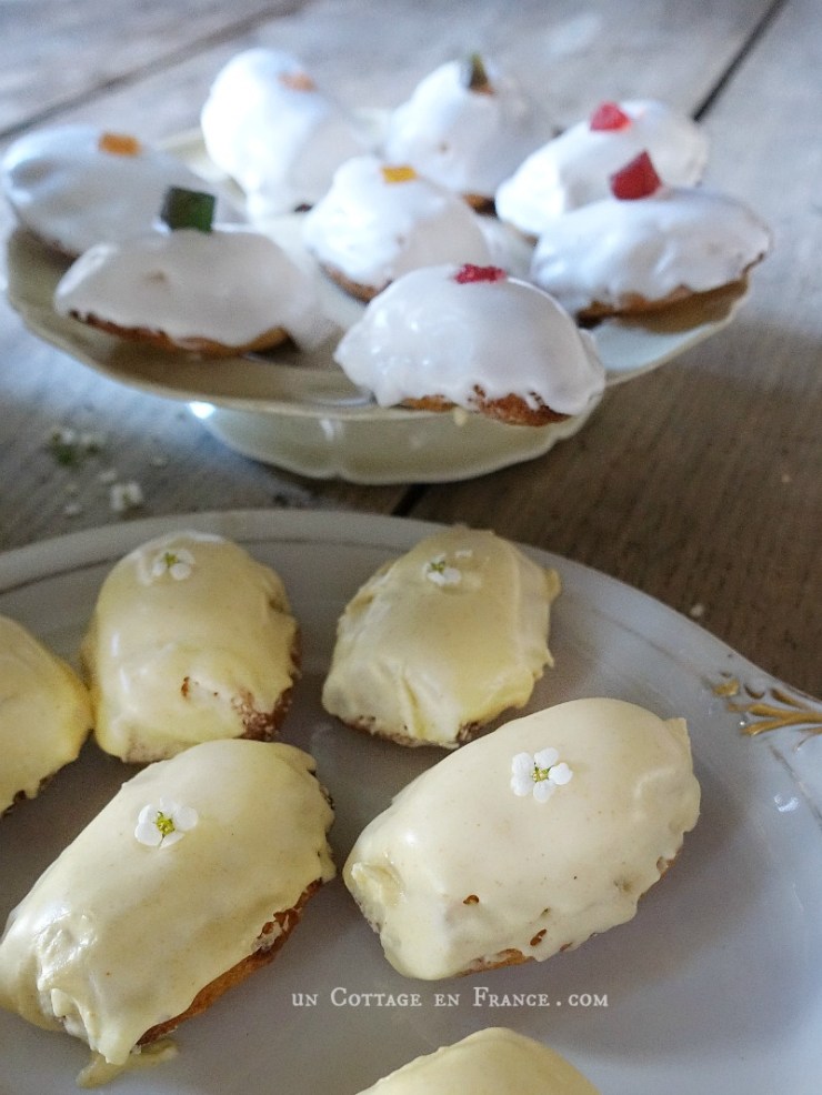 Madeleines royales | Royal Madeleines
