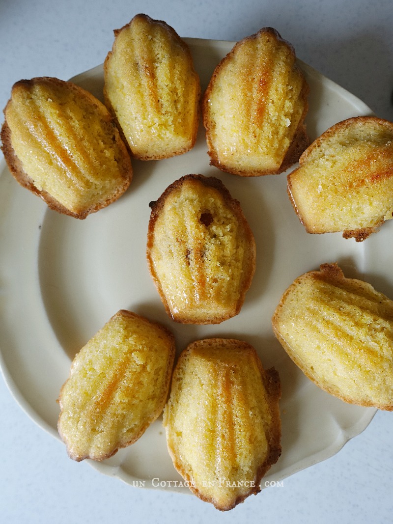 recette de madeleines