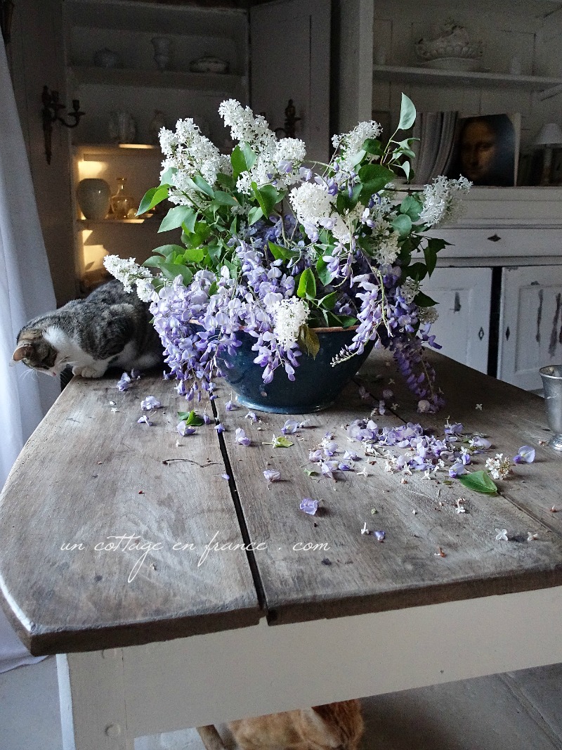 french country interior